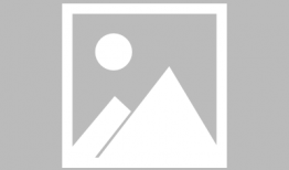 今日吃瓜现状如何知乎,网络舆论场中的围观与反思