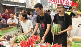 北京朝阳群众今日吃瓜,揭秘京城街头新鲜事