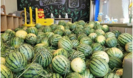 江苏虞山今日吃瓜,探寻江苏特色吃瓜文化之旅