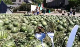 北京朝阳群众今日吃瓜,揭秘京城街头新鲜事